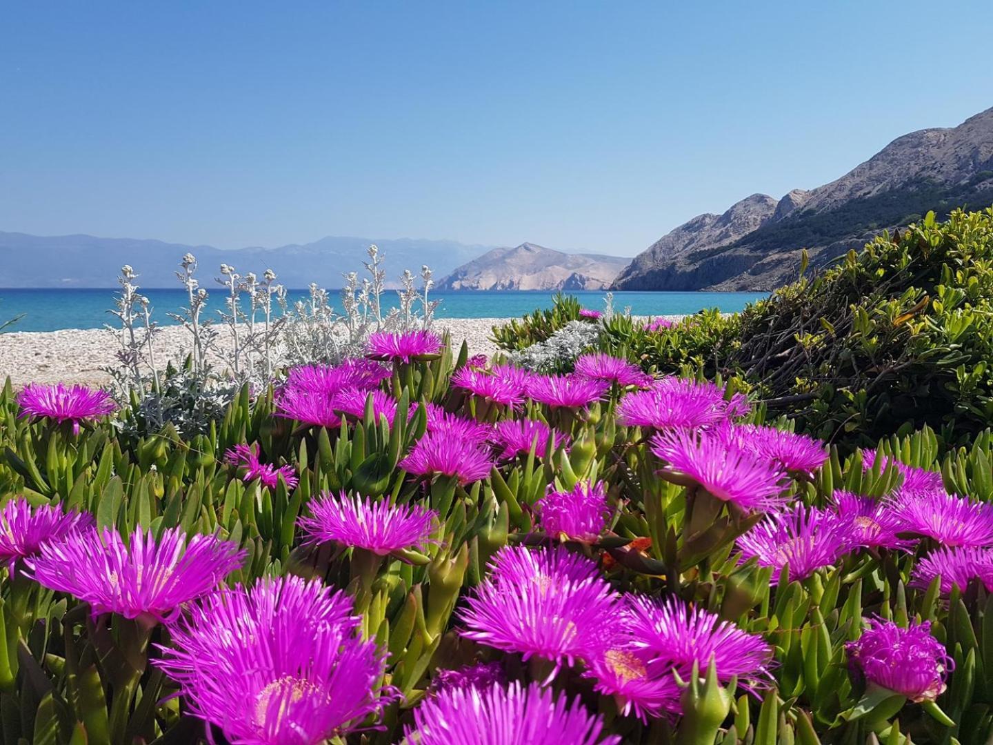 Sunshine Residence Baska Εξωτερικό φωτογραφία